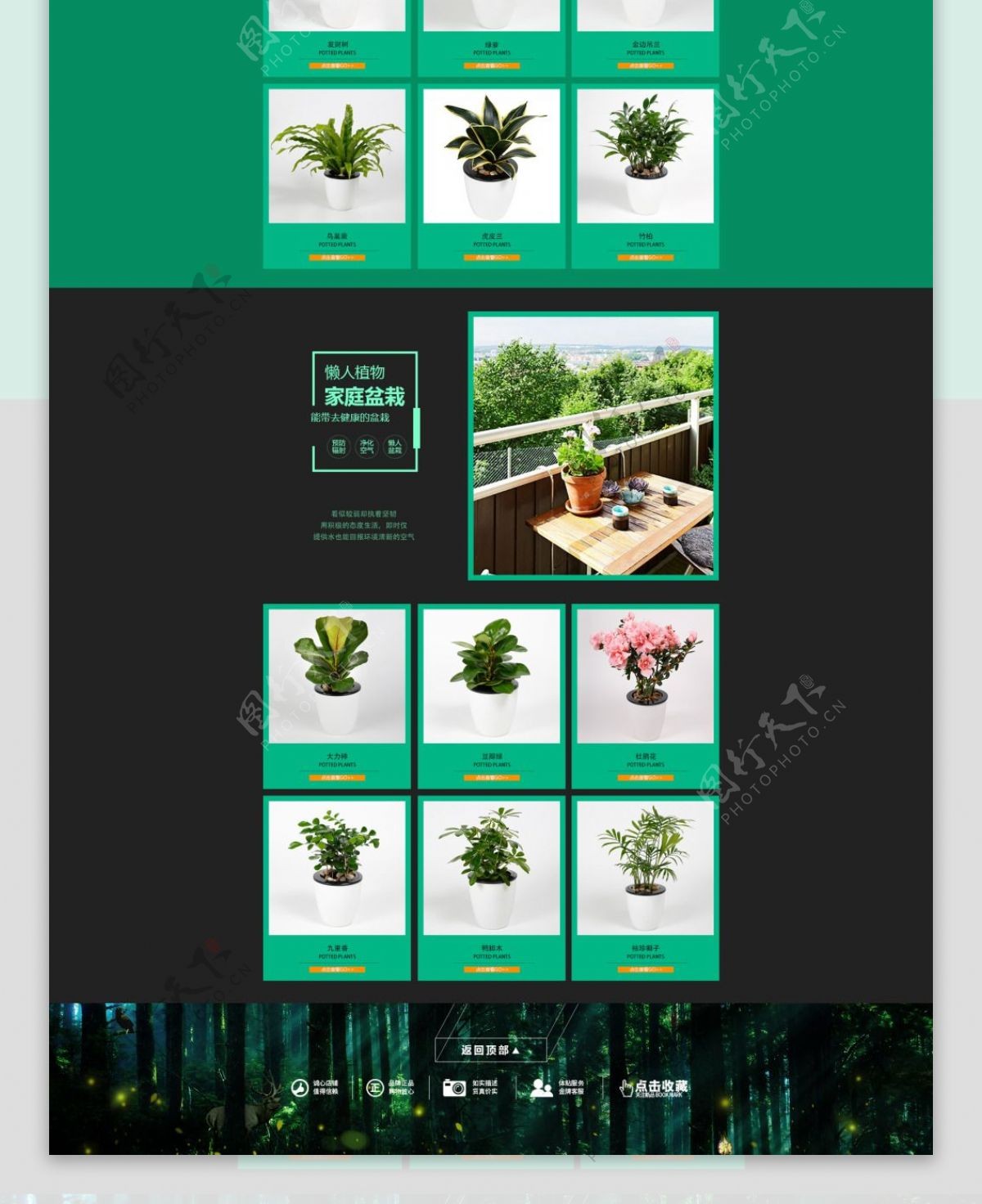 电商淘宝天猫绿植盆栽首页PSD
