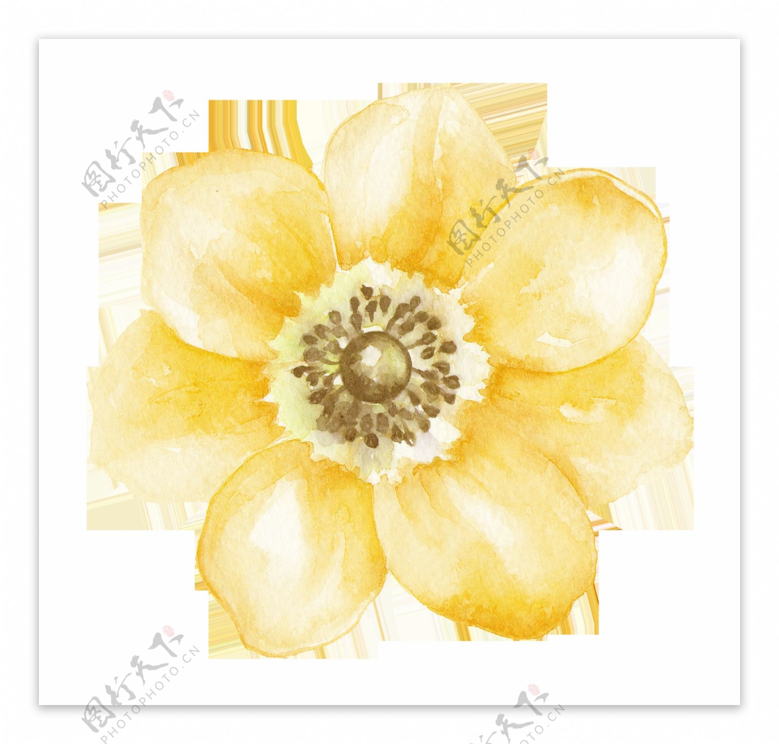 黄色渐变花朵透明装饰素材