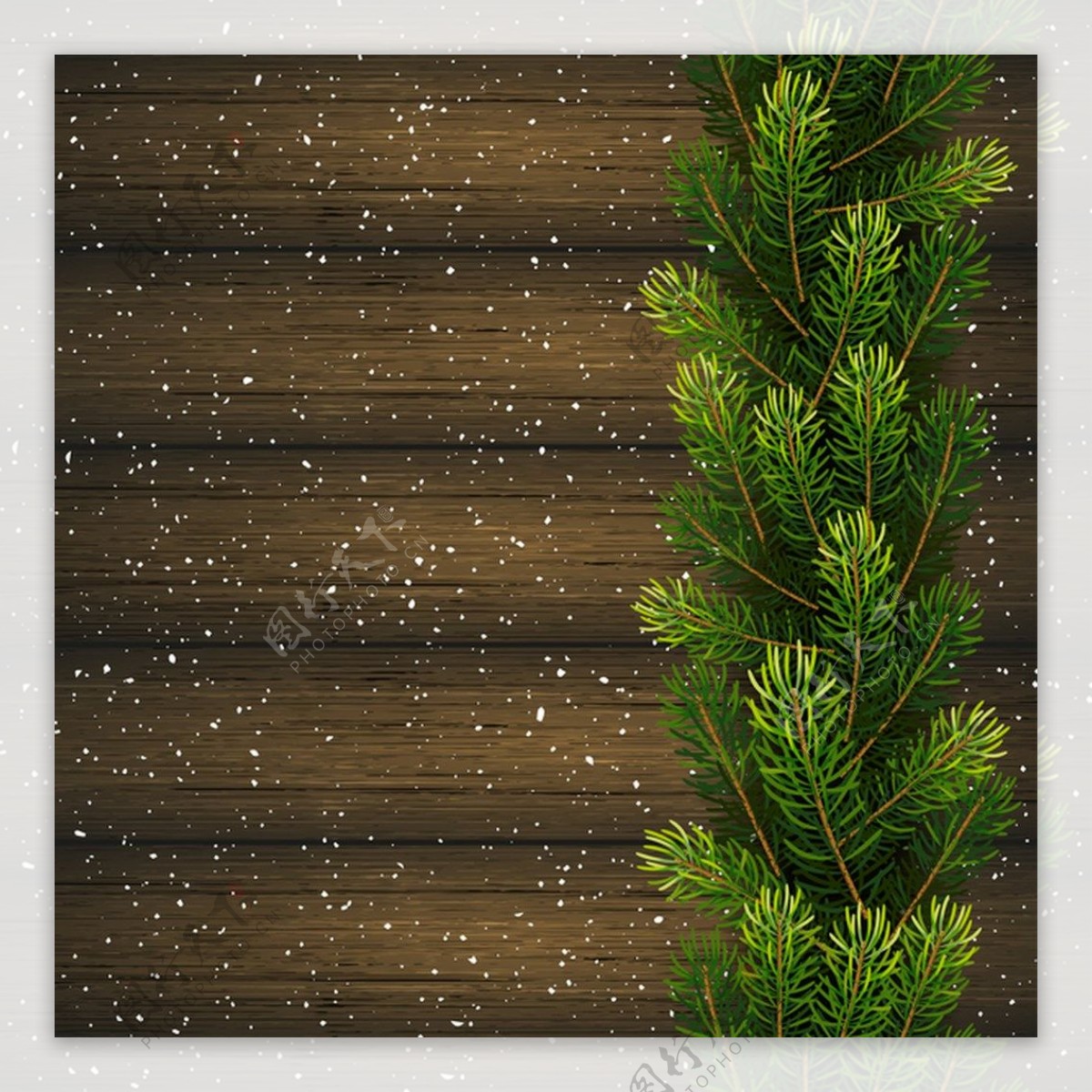 冷杉枝与圣诞木背景