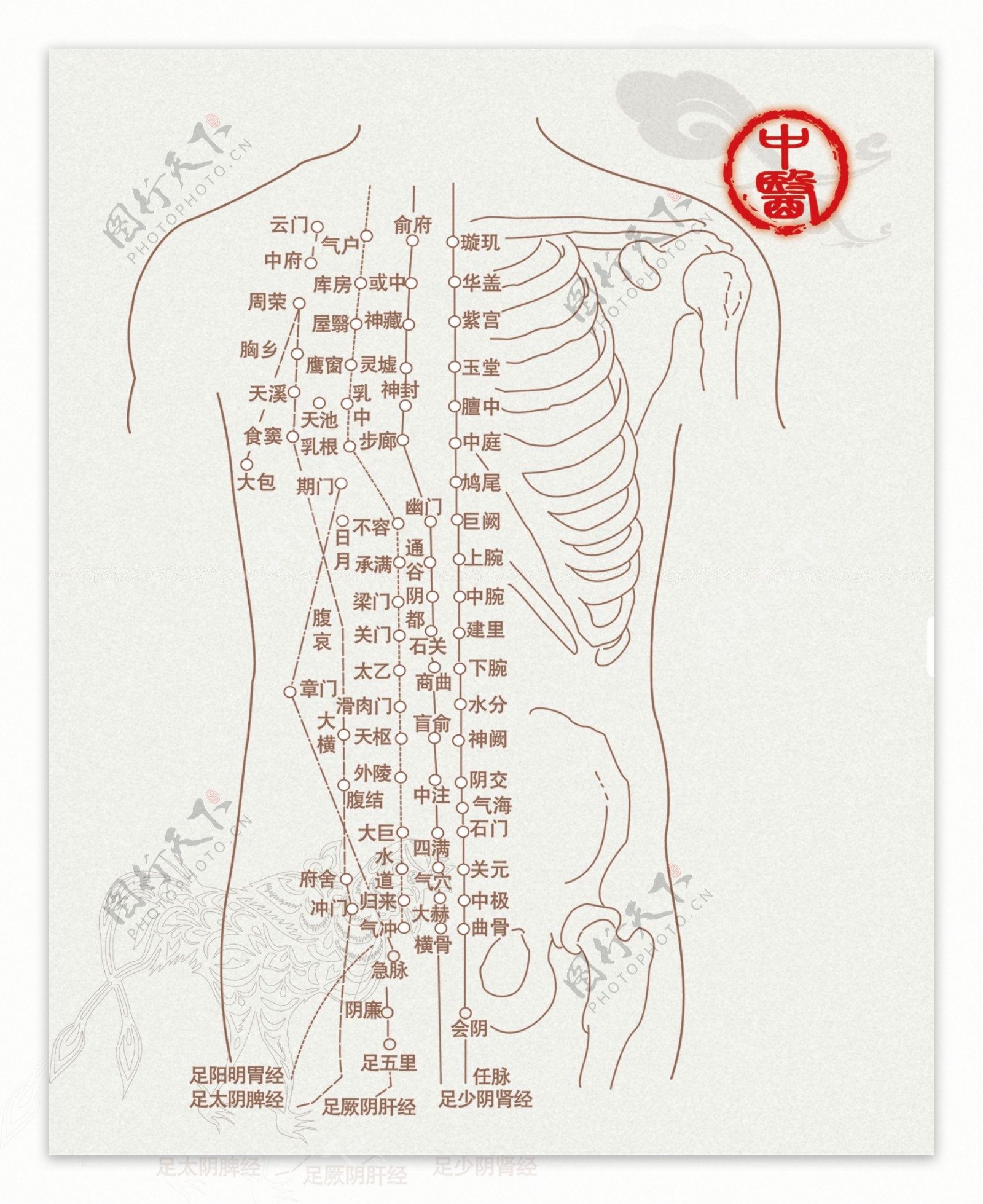 中医中医脊柱展板