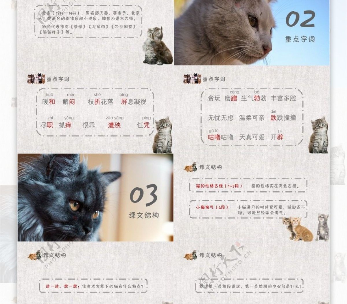 清新风猫有内容语文教学PPT课件