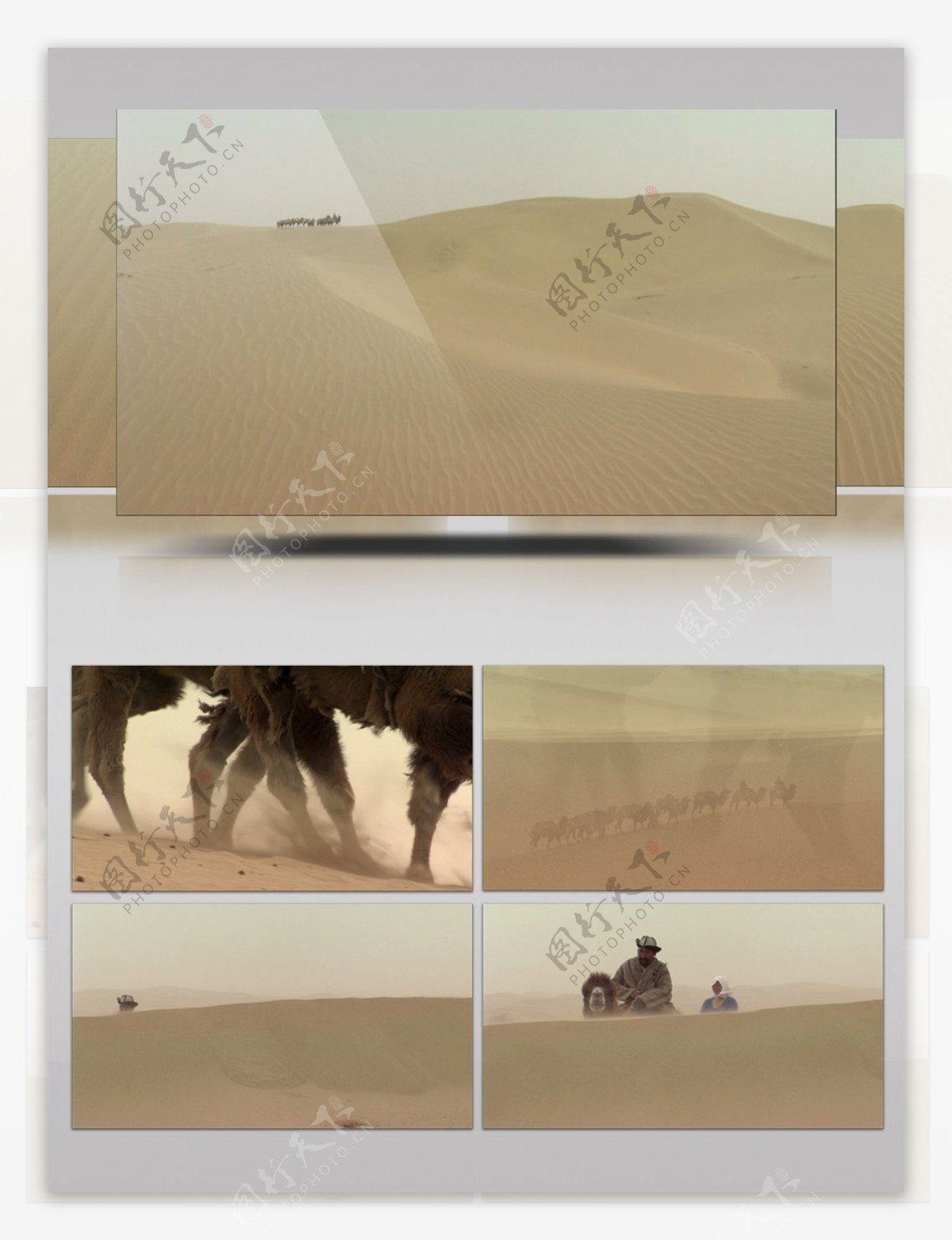 实拍漫天黄沙沙漠骆驼运输