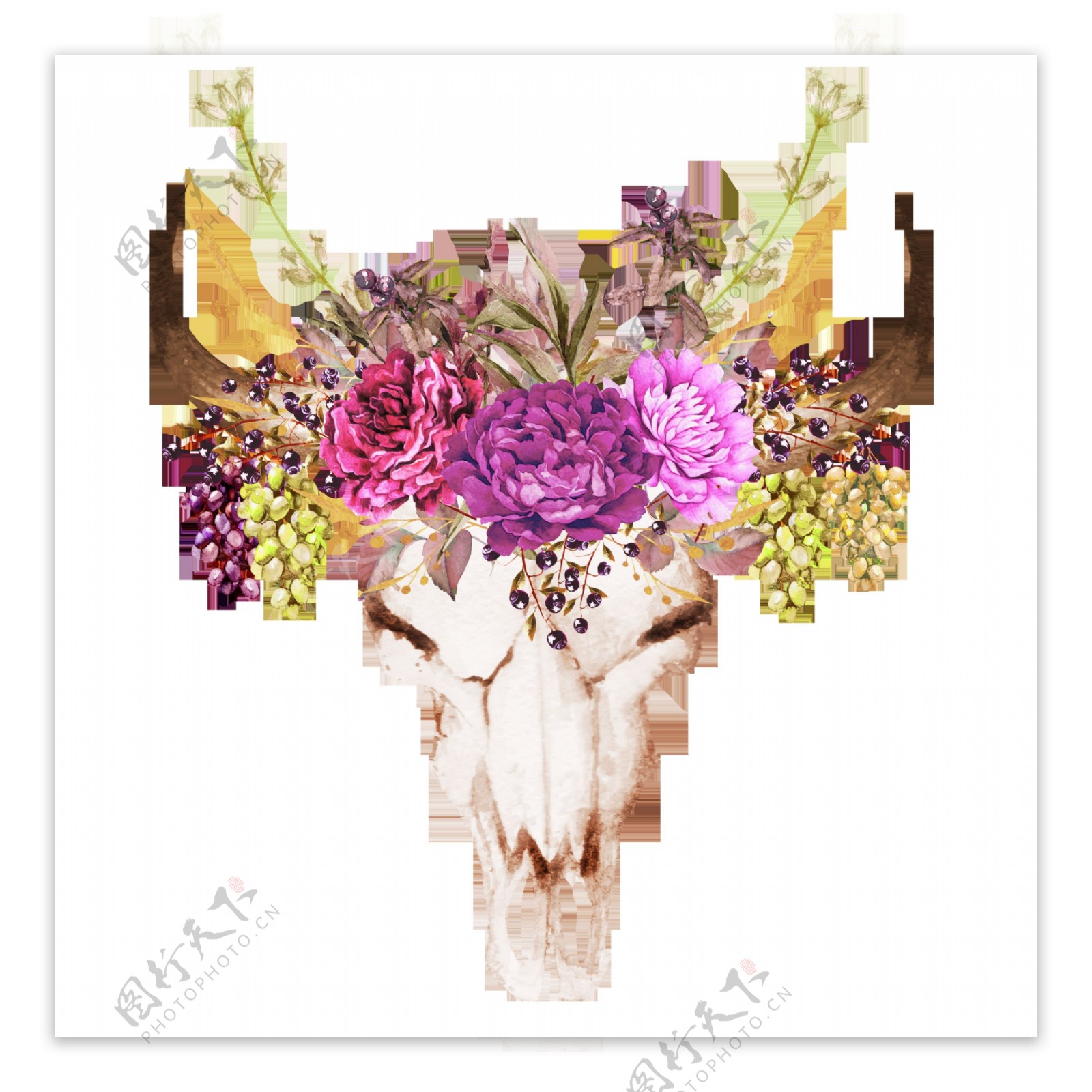 紫红花草羊头装饰素材
