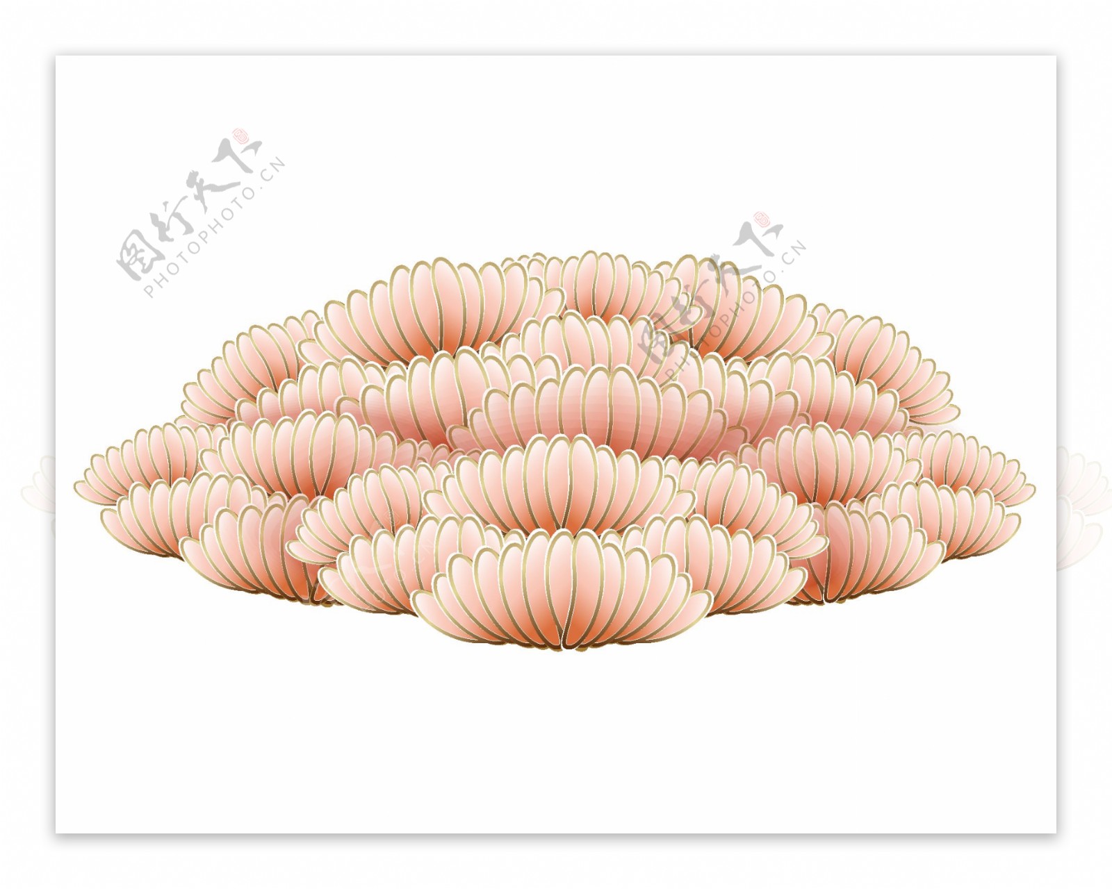 粉色珊瑚群插画png元素