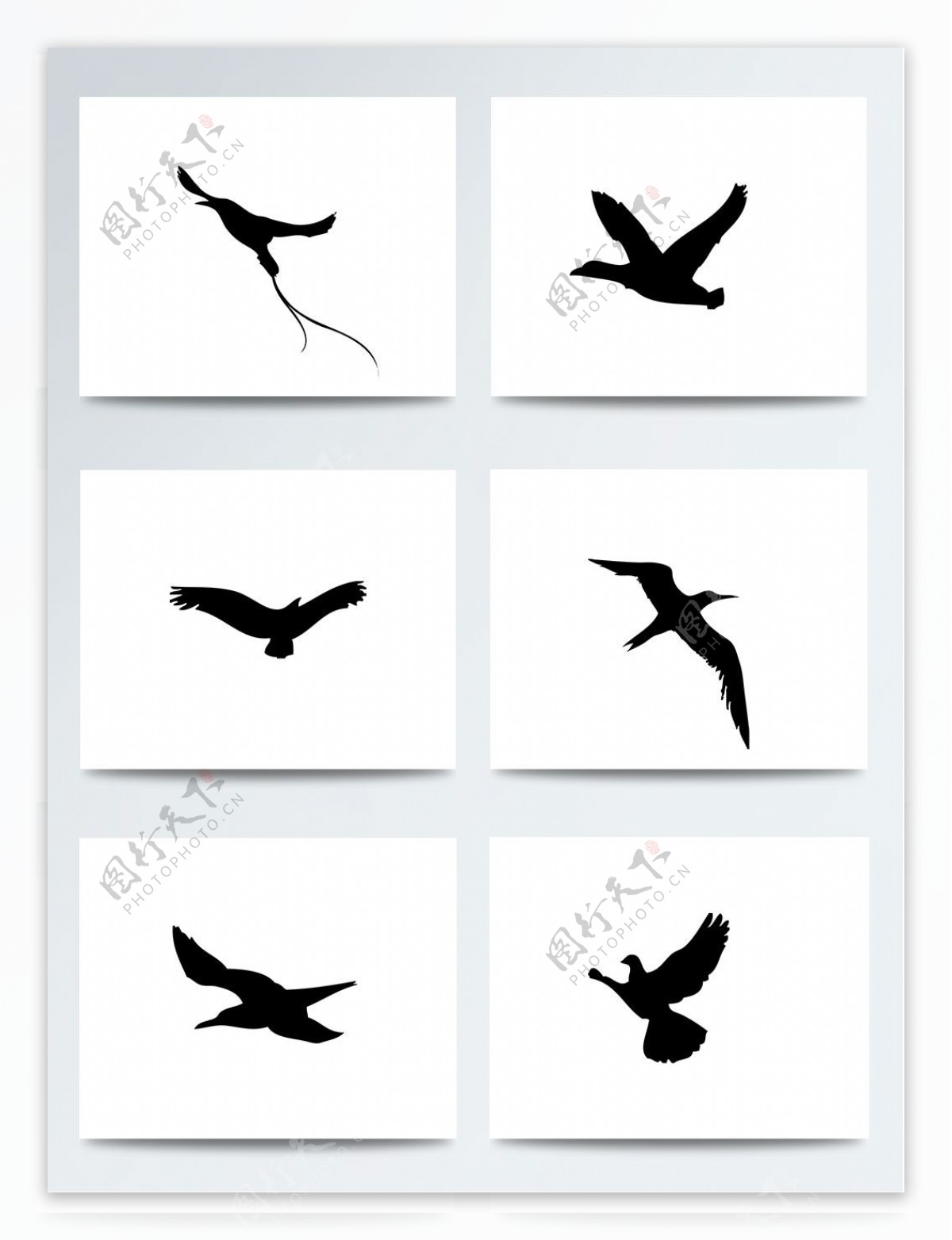 世界湿地日卡通黑色飞鸟PNG元素