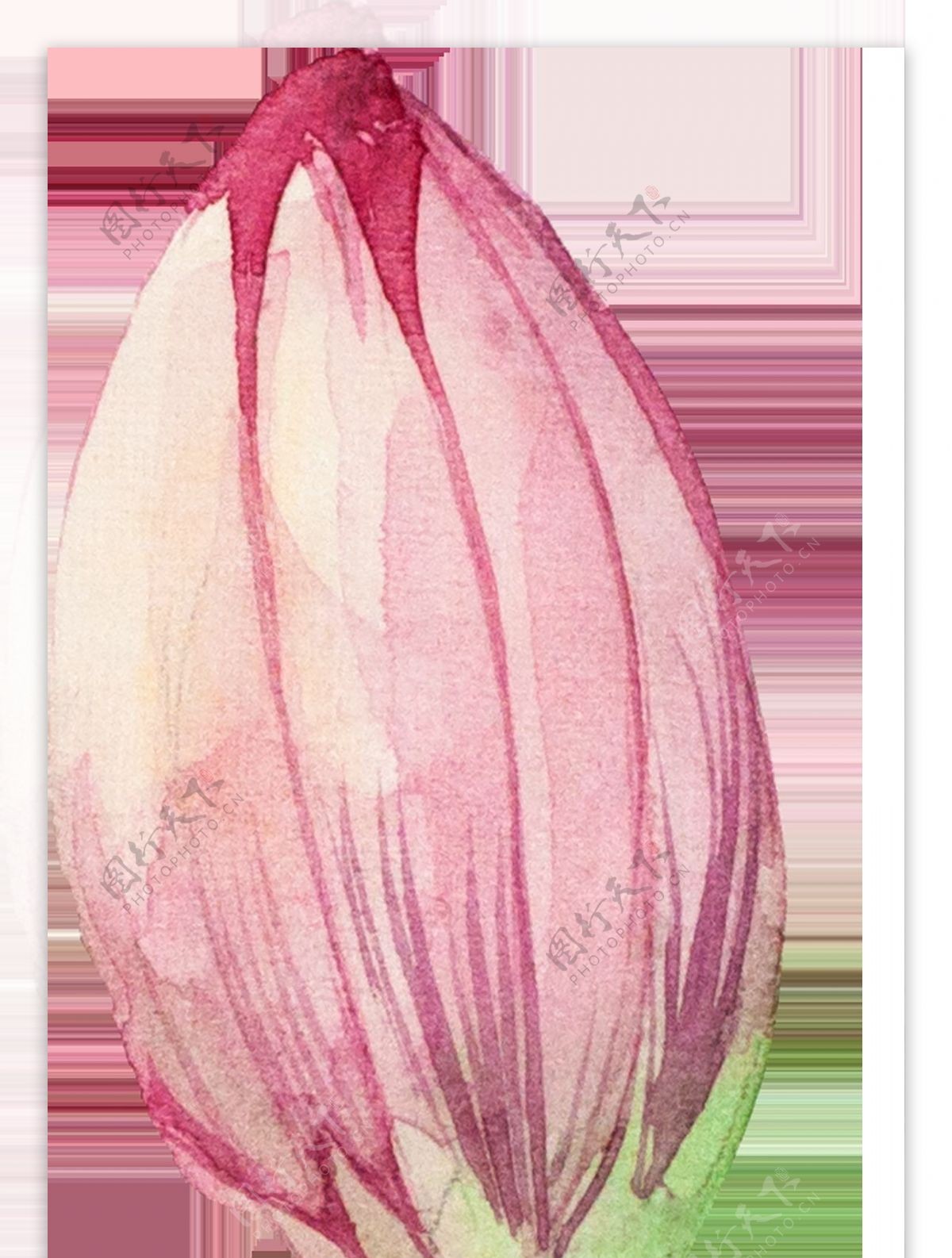 粉色浪漫花卉卡通透明装饰合集
