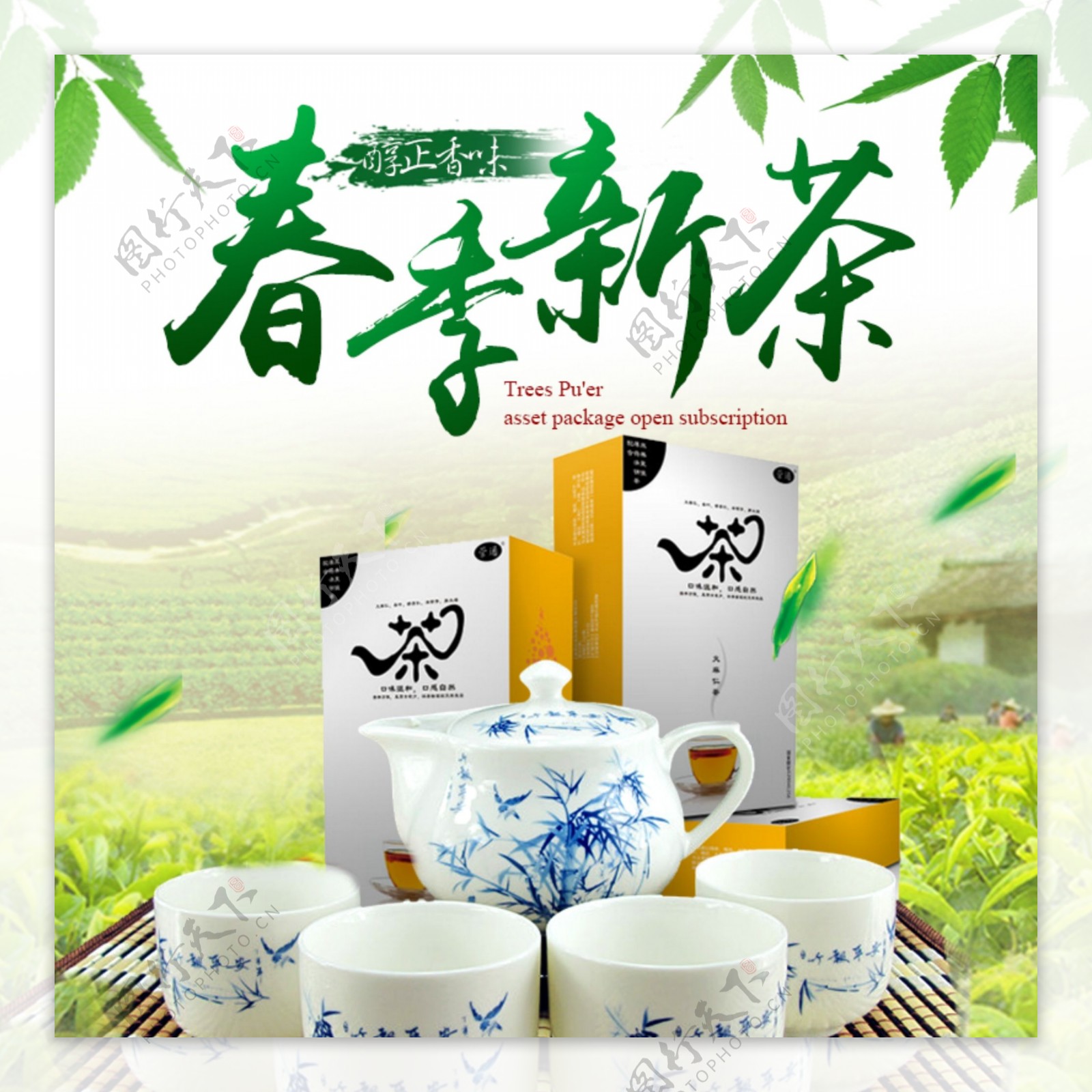 中国风绿色清新茶叶主图模板psd
