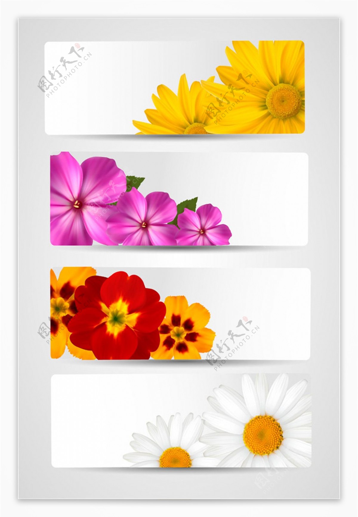 彩色花朵背景图片