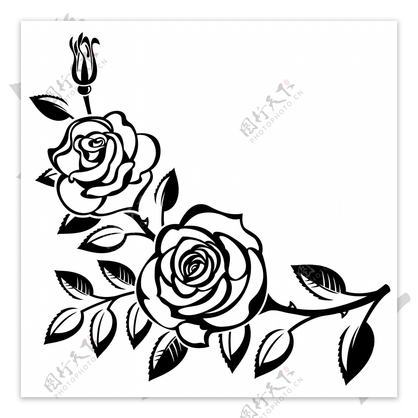 黑白玫瑰图片素材-编号14465112-图行天下
