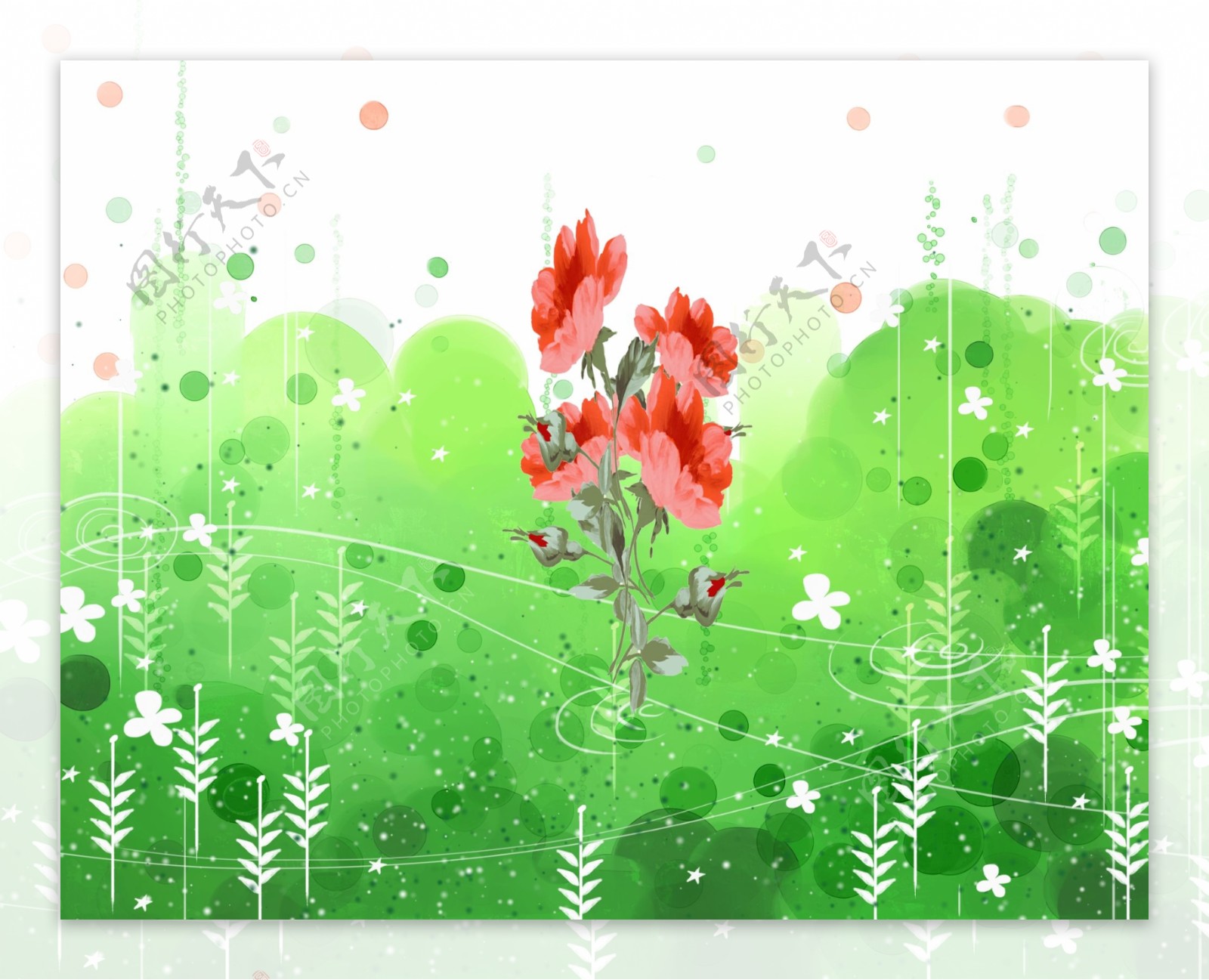 红色花朵绿色背景