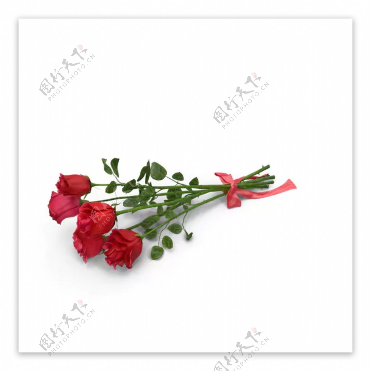 红色玫瑰花束素材