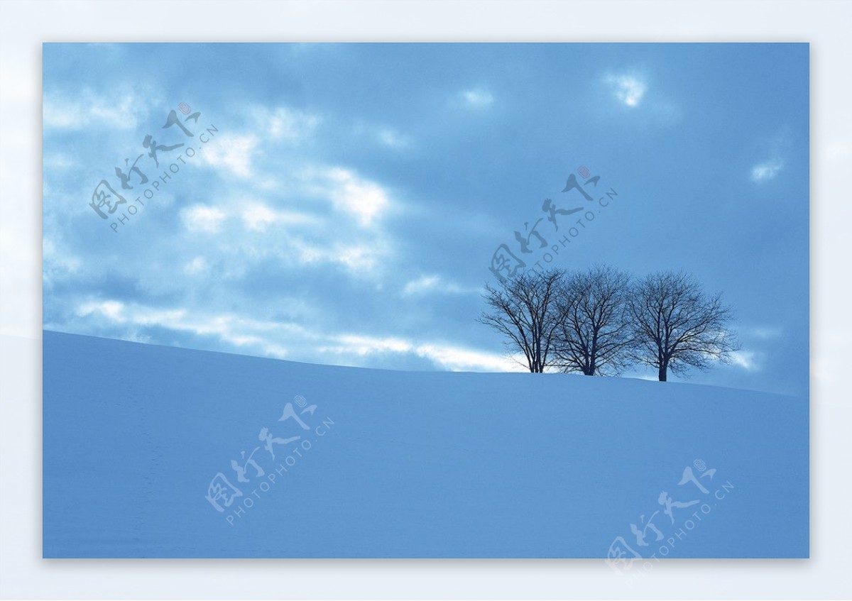 茫茫雪原