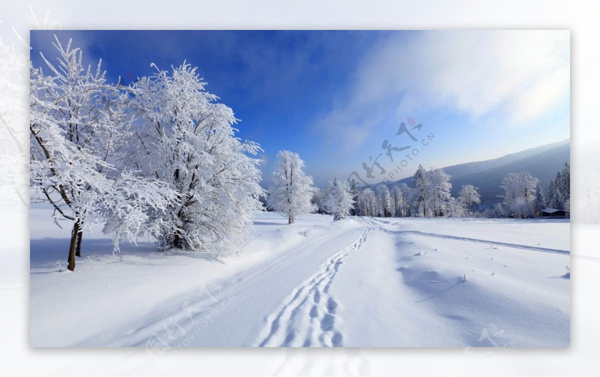 雪景