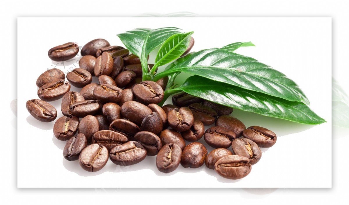 可可咖啡豆png元素