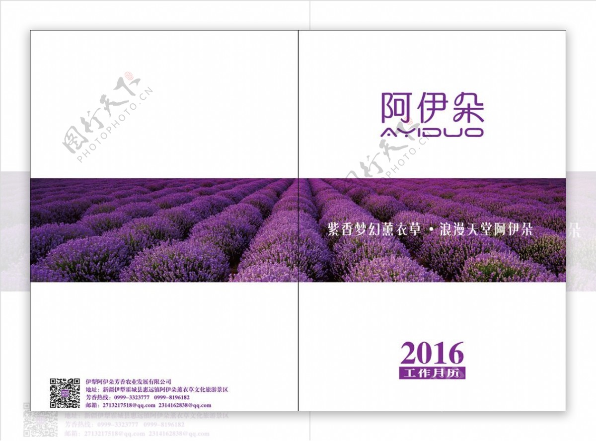 紫色薰衣草画册封面