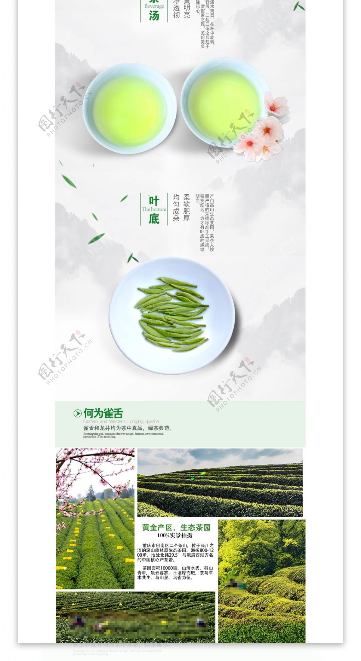 中国风茶叶详情页模板