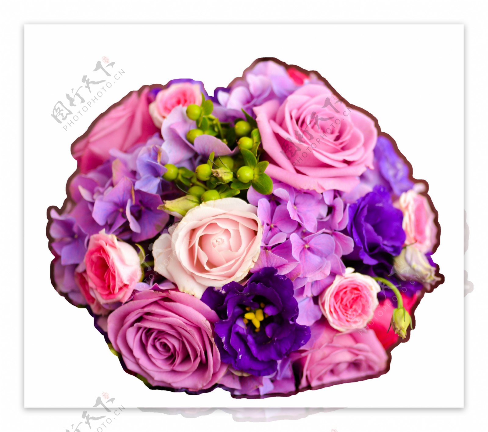 美丽紫色玫瑰花花朵花束实物元素