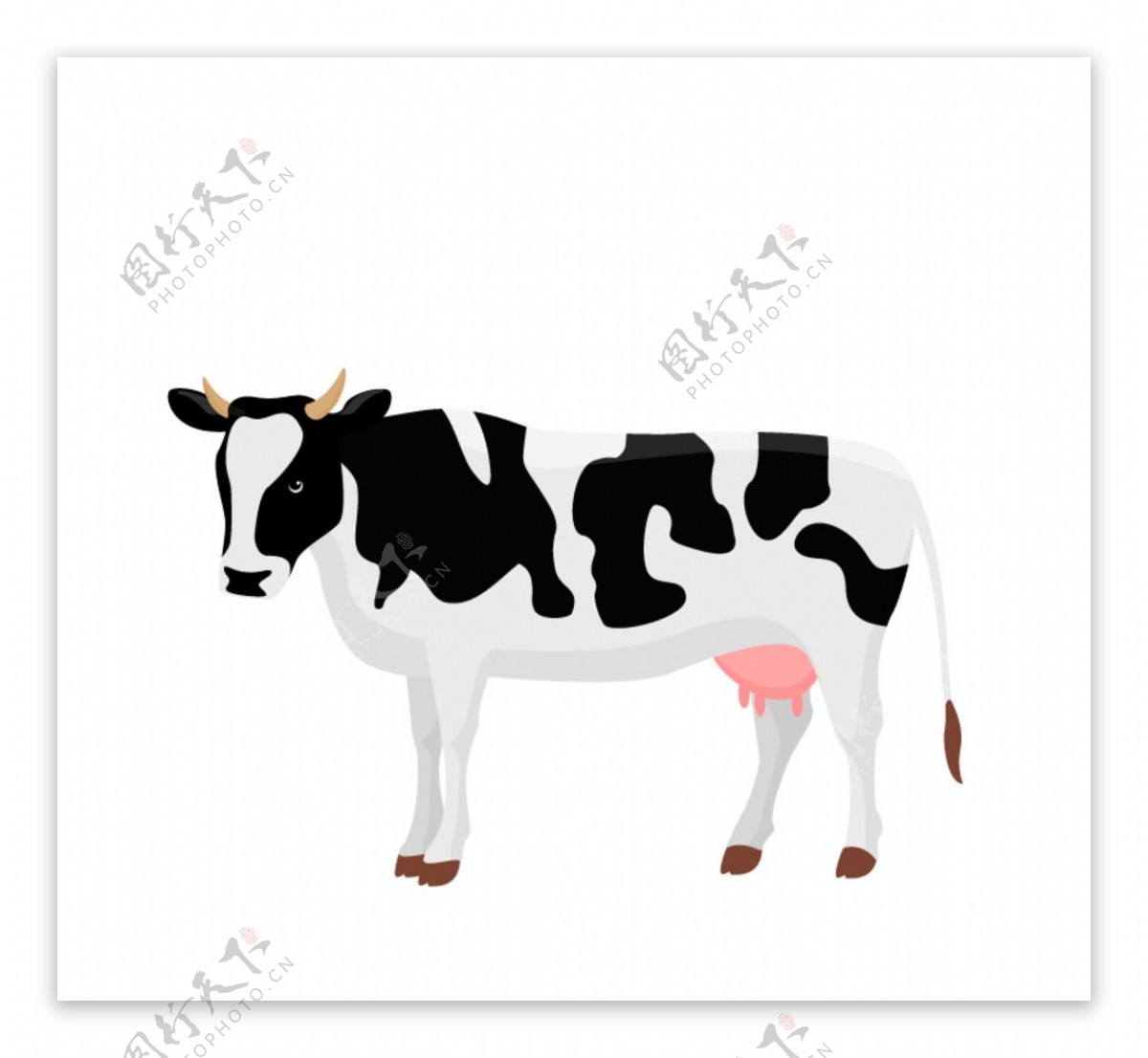 黑白花纹奶牛设计