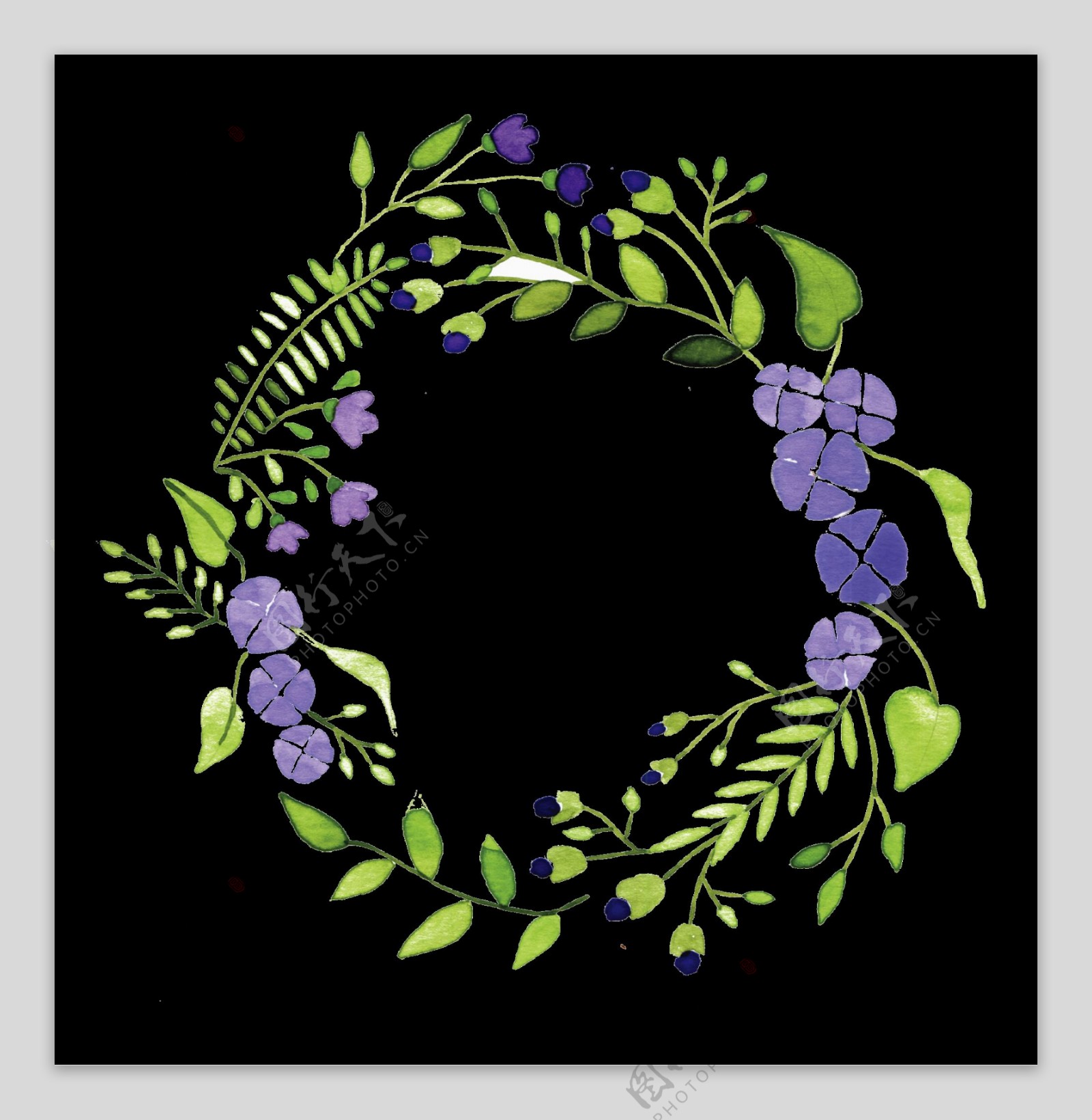 浪漫清新紫色牵牛花手绘花环装饰元素