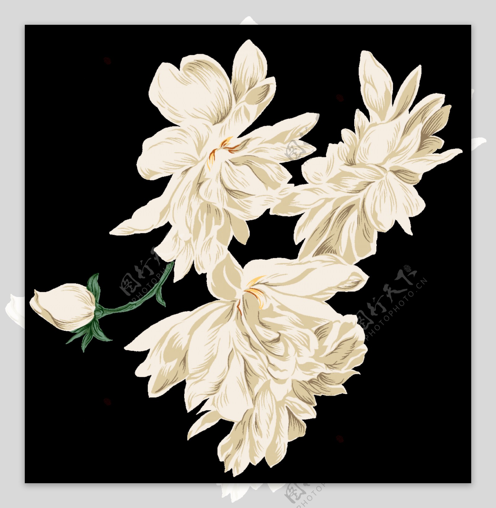 中国风古典白色花朵装饰元素