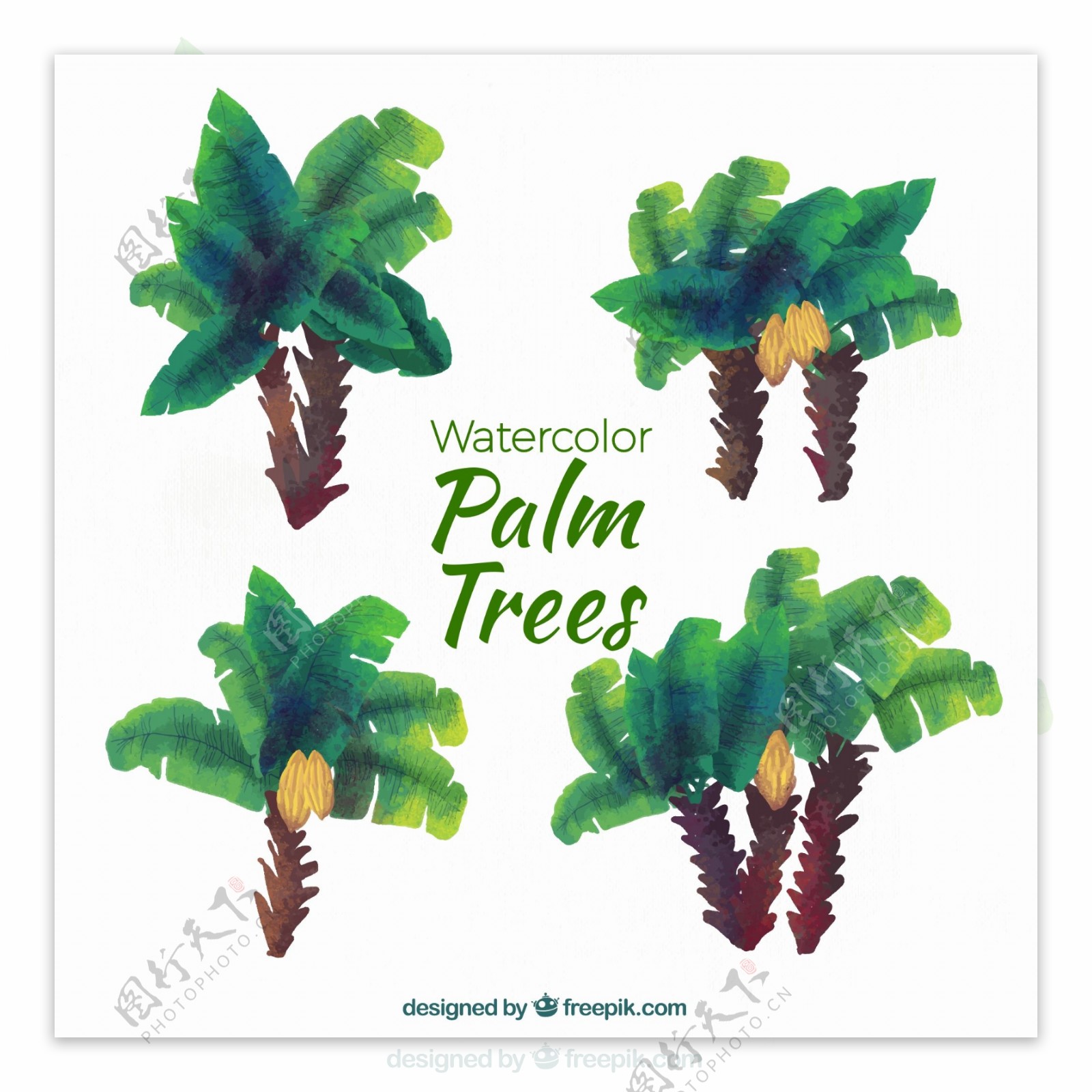 4款水彩绘绿色棕榈树矢量图