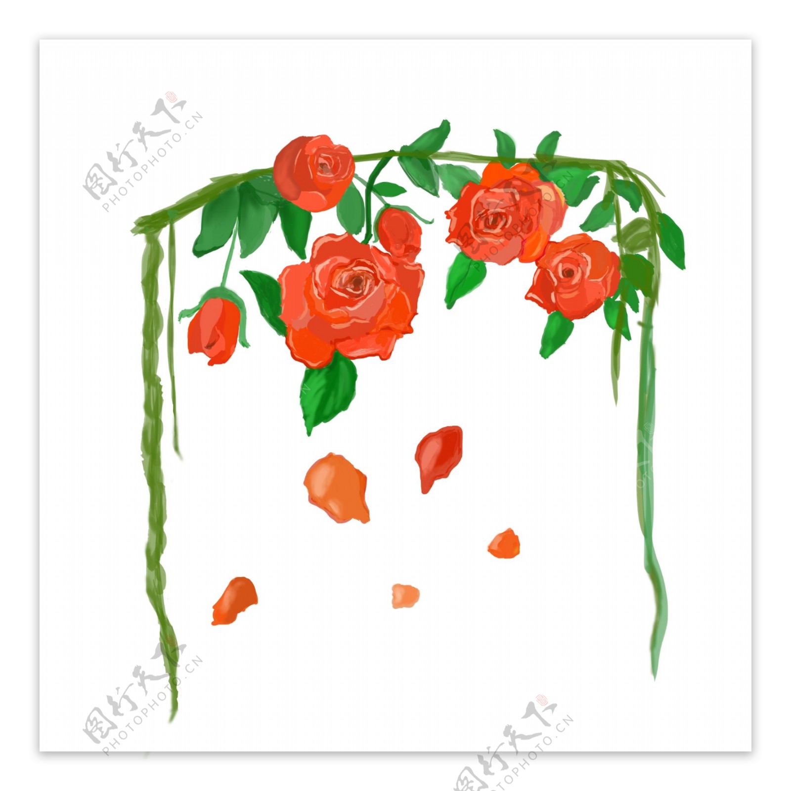 手绘藤蔓上的红玫瑰花矢量元素清新