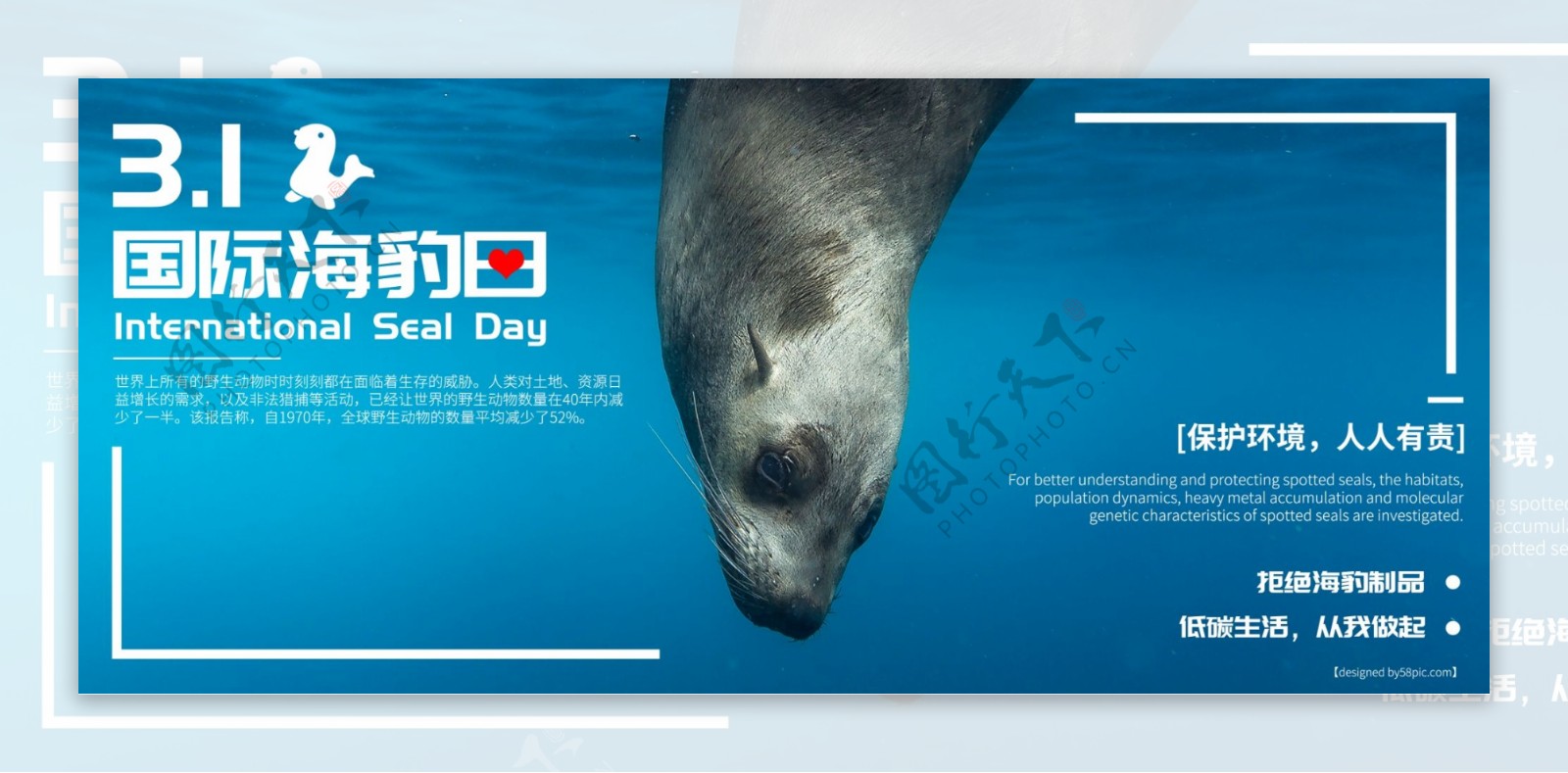 蓝色时尚国际海豹日宣传展板