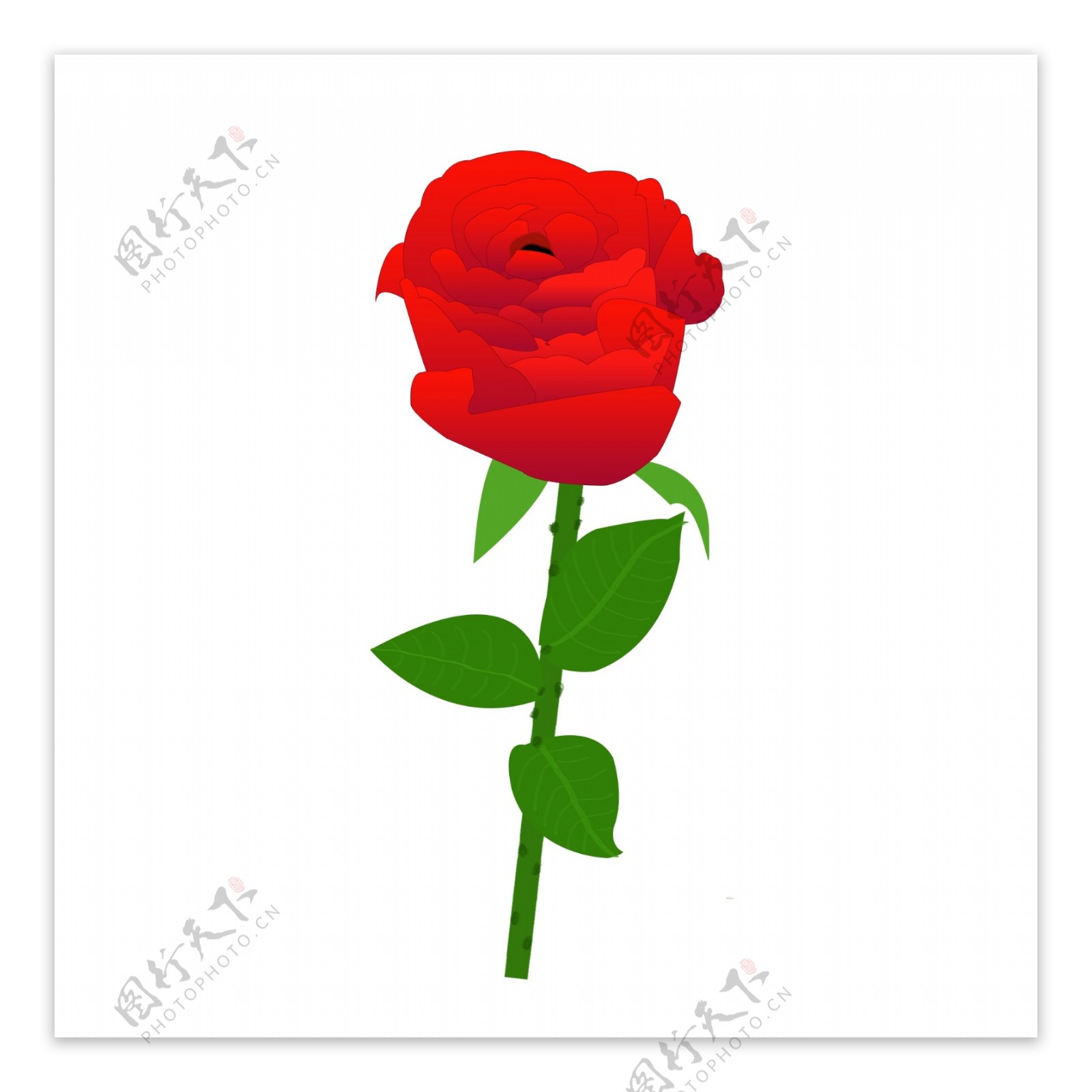 红玫瑰情人节玫瑰花绿叶花茎花朵元素
