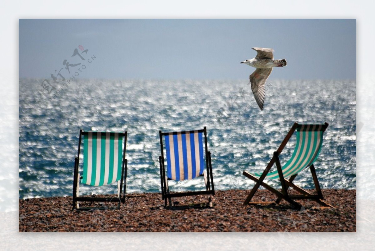 沙滩椅海鸥海滩