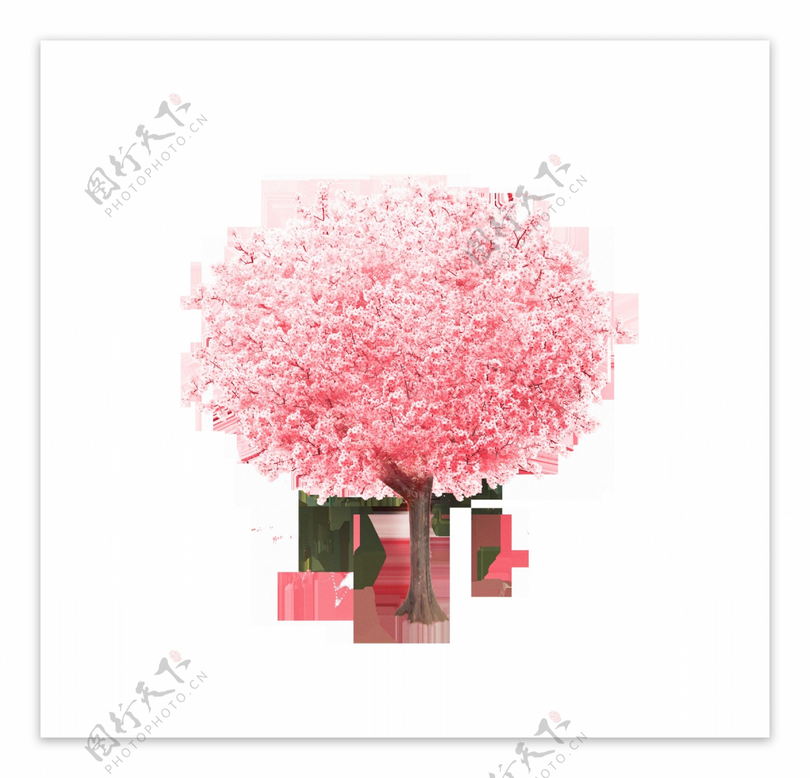 红色樱花树木装饰素材