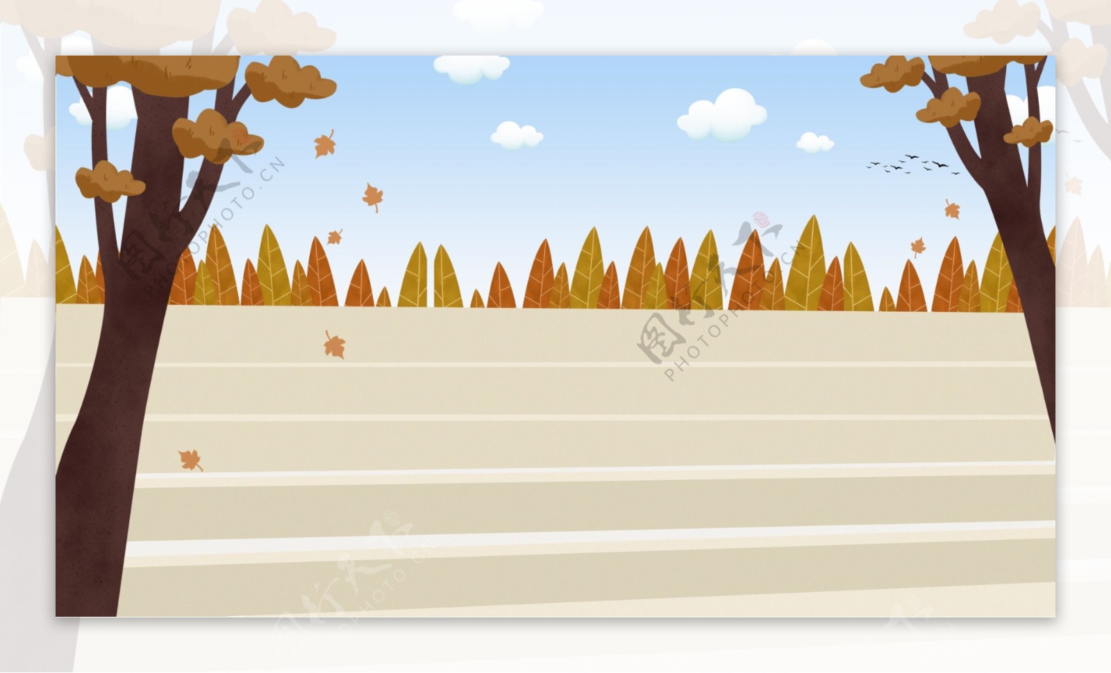 秋季马路大树落叶背景素材