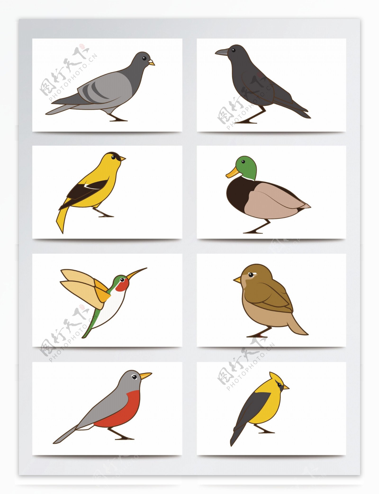 简笔绘画设计可爱鸟类