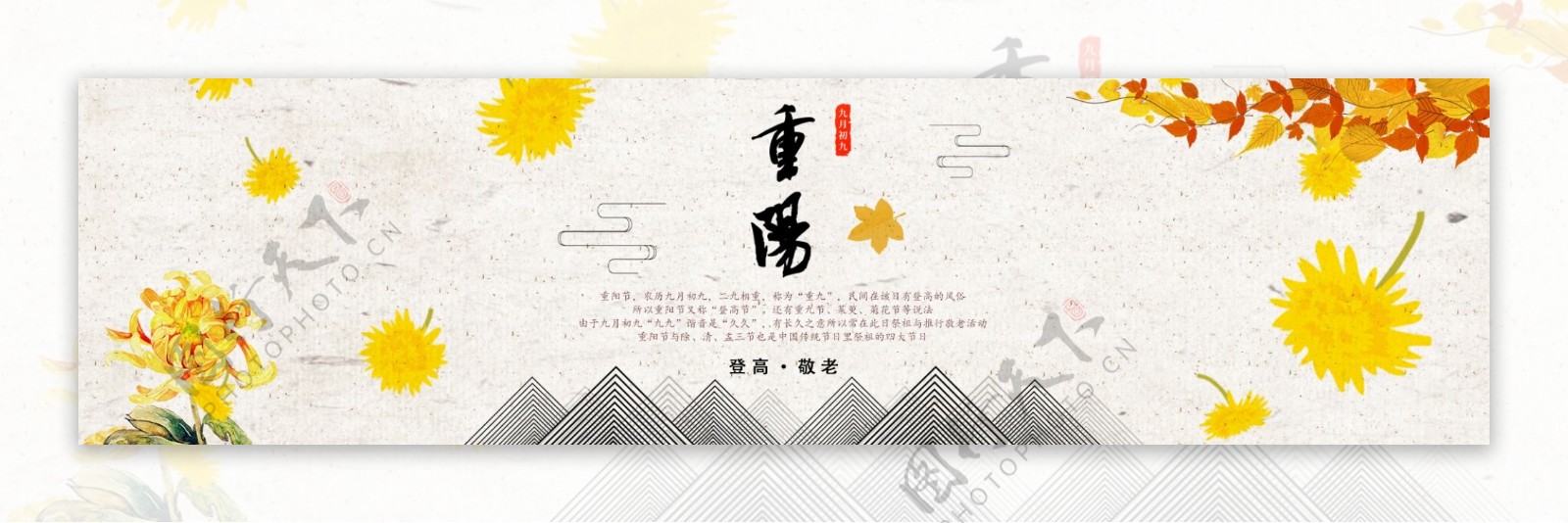 中国传统节日重阳banner
