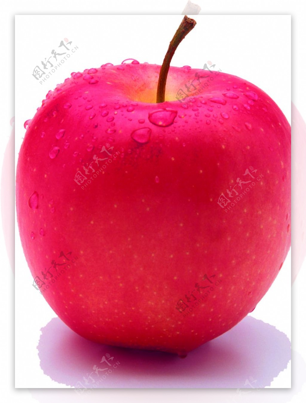 水果苹果红苹果