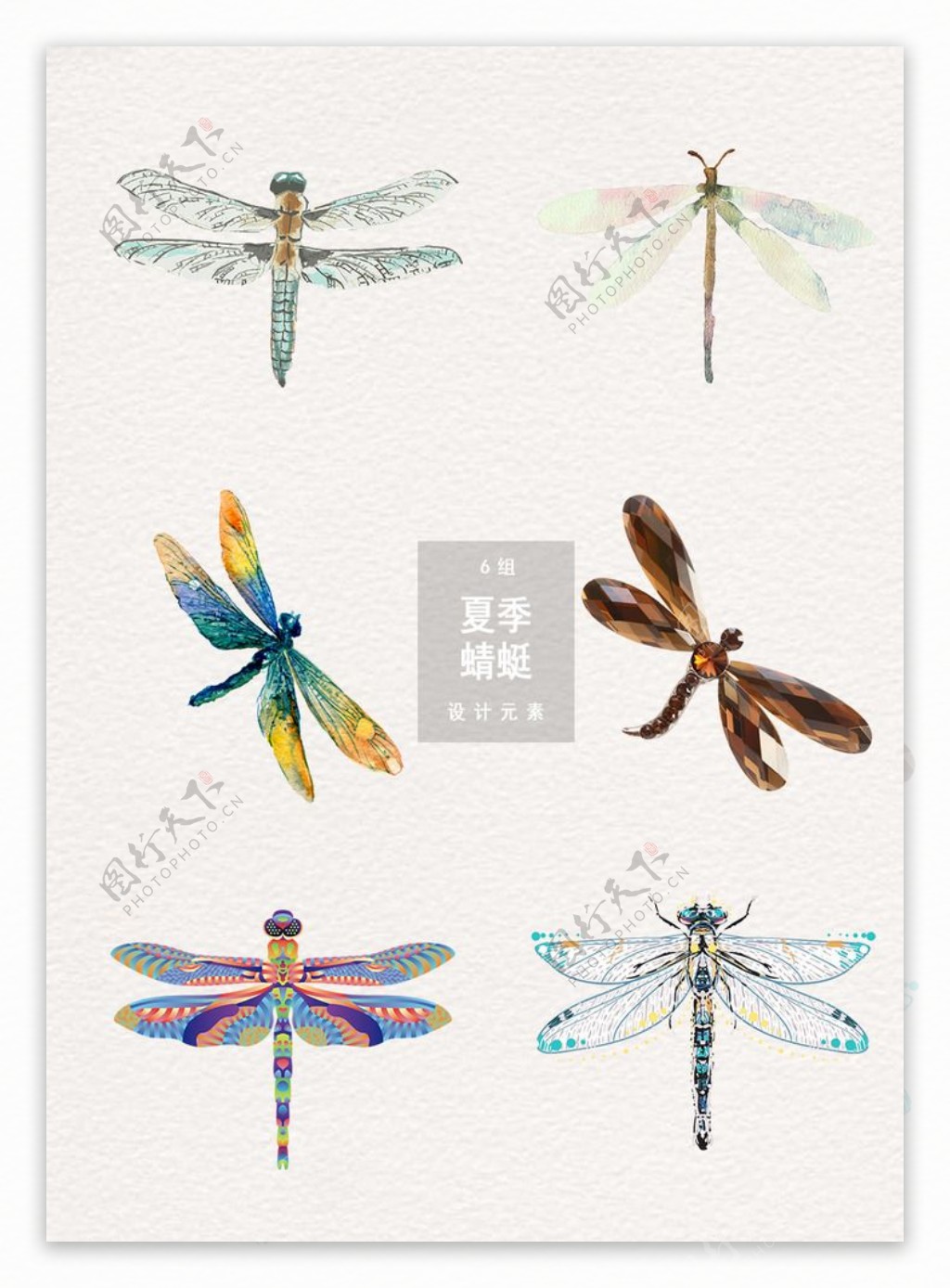夏季蜻蜓图案设计元素