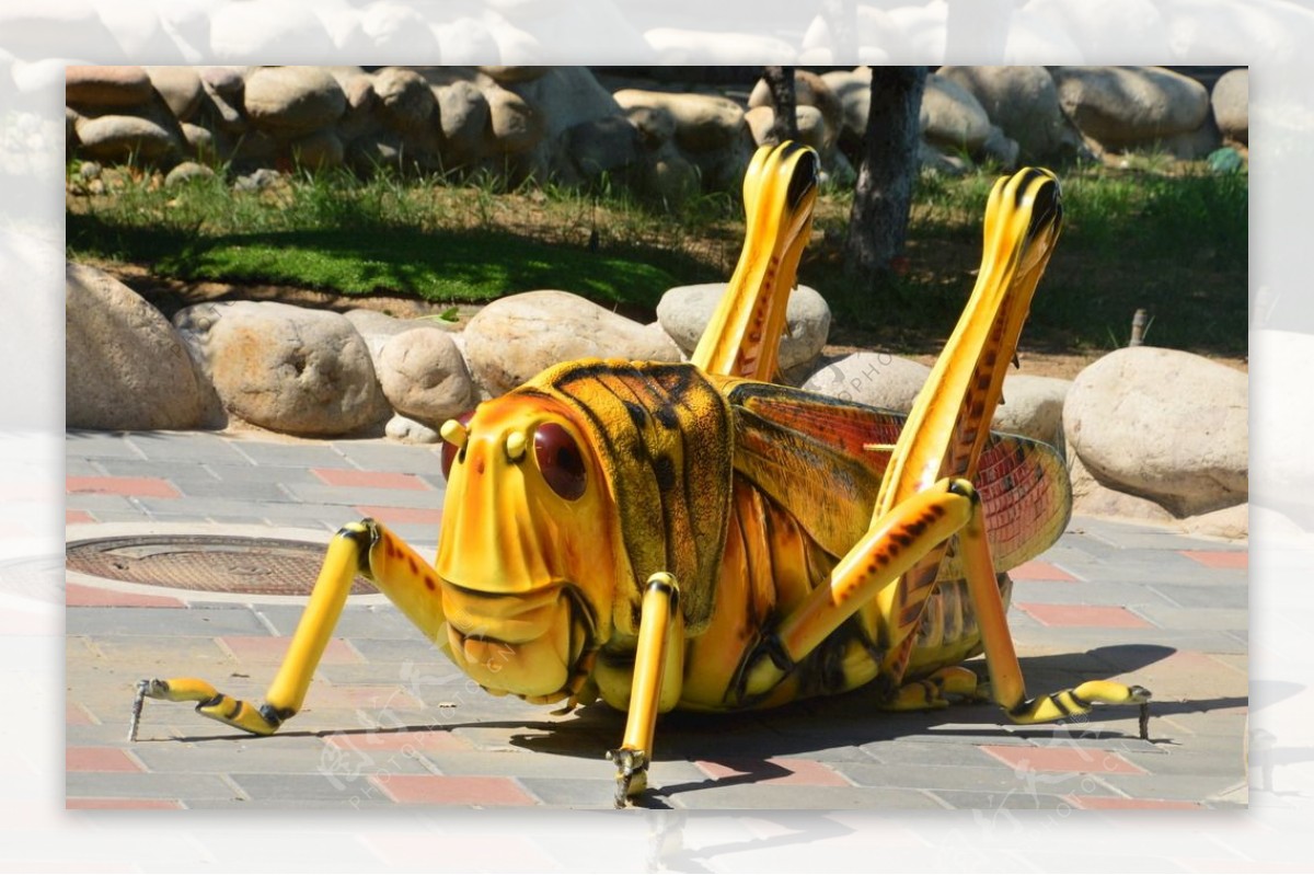 动物园风景图片素材 编号30101047 图行天下