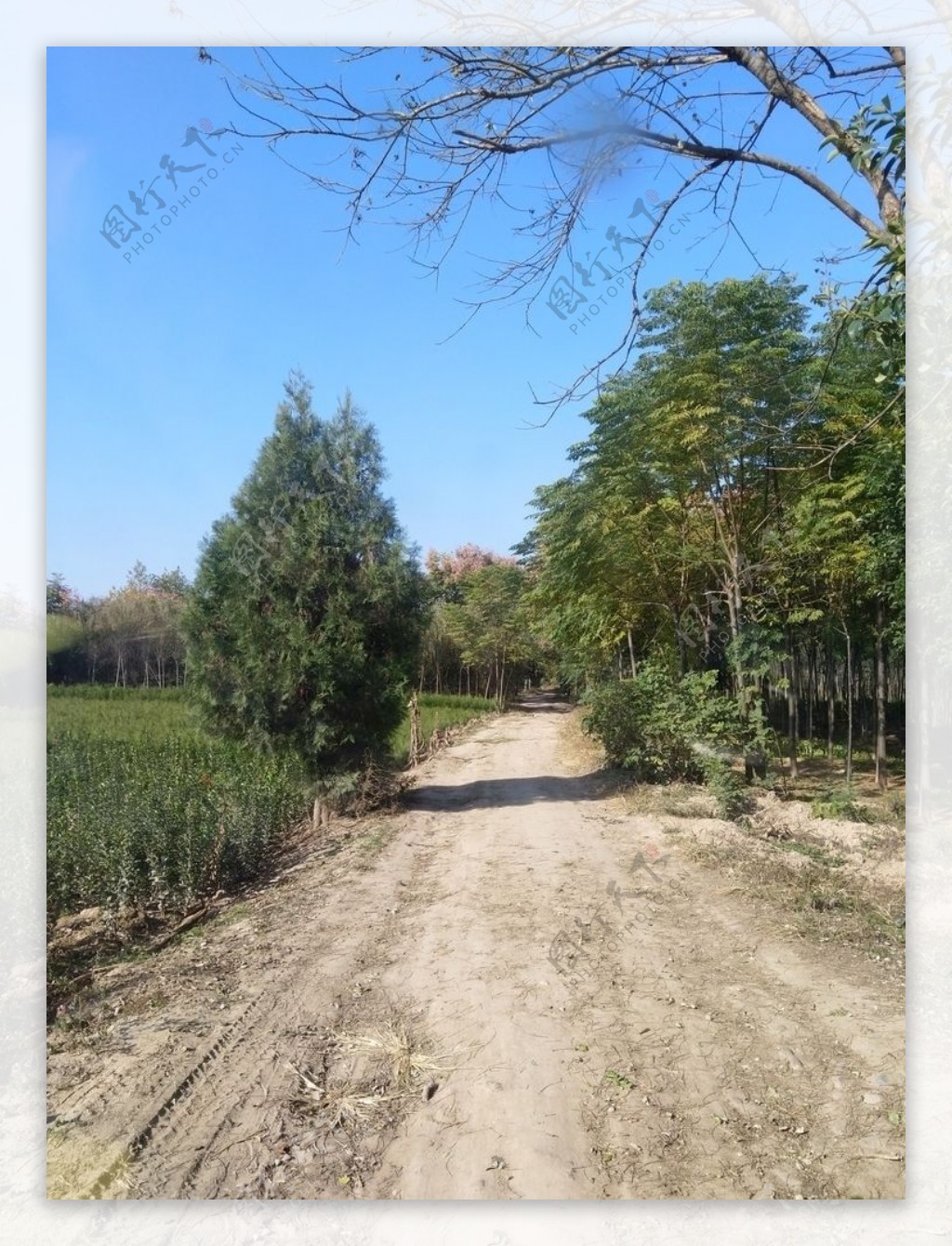 乡村道路风景