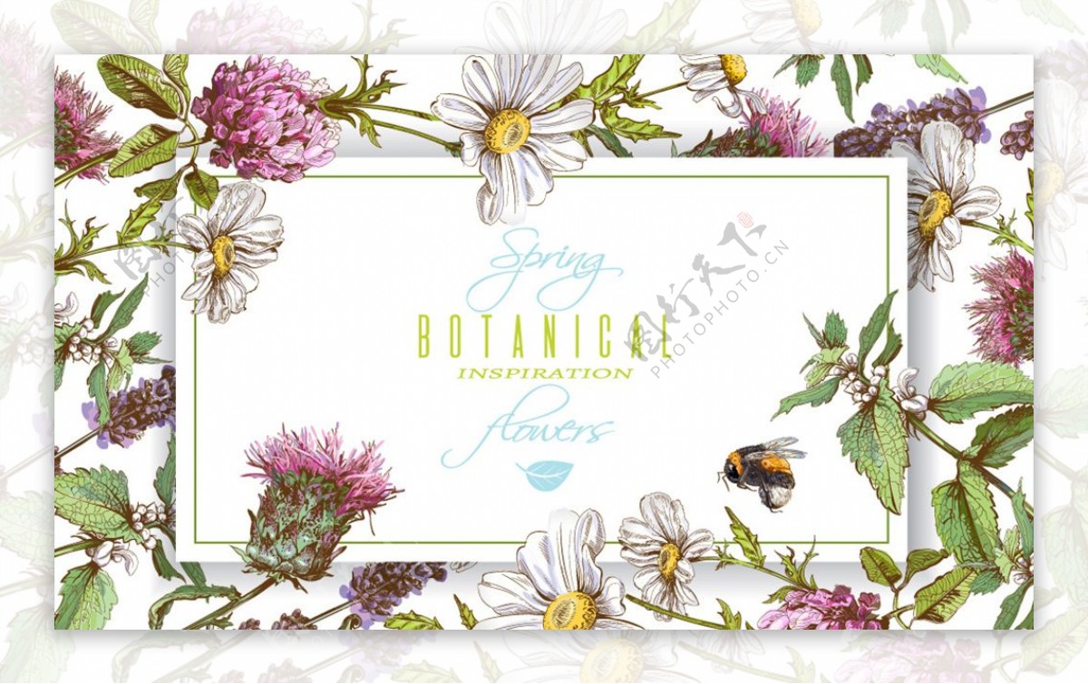 彩绘春季花卉和蜜蜂框架矢量素材
