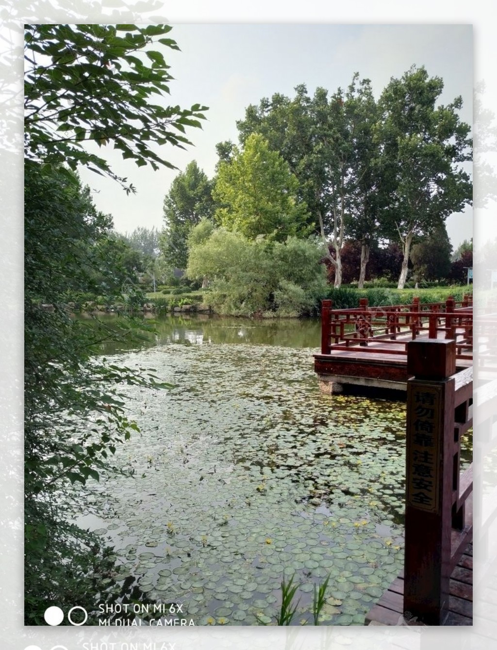 云龙公园湖心