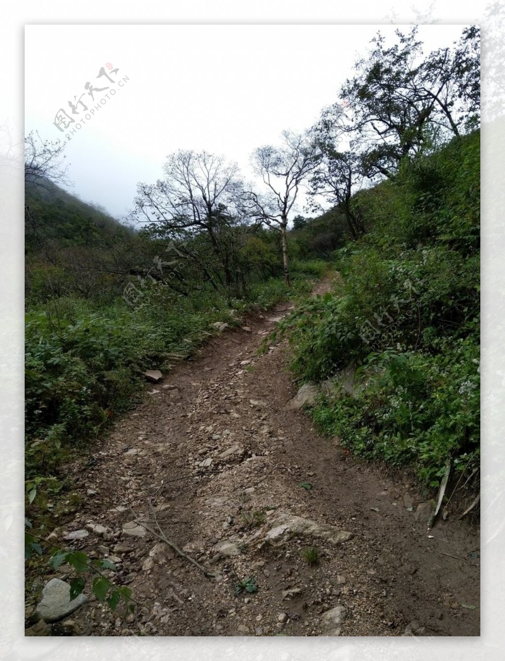 高山风景