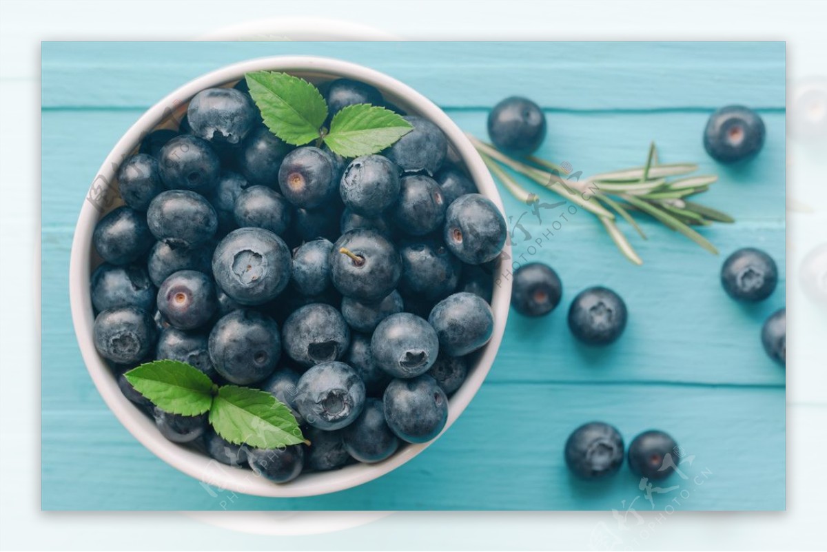 蓝莓浆果特写食物