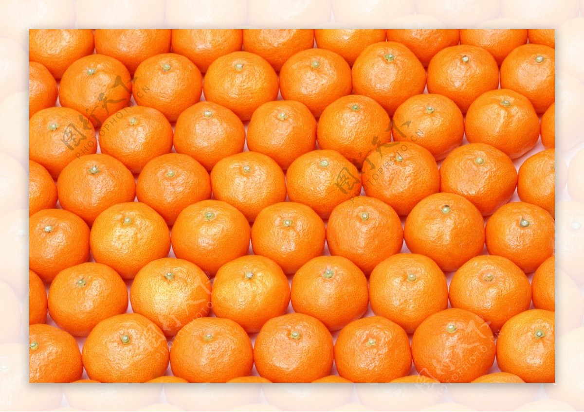 香橙满铺背景