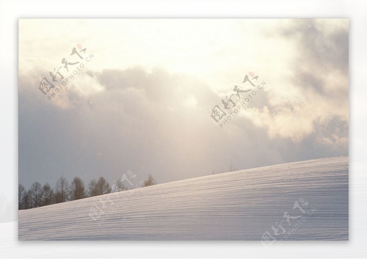 冬天雪景树林清新梦幻