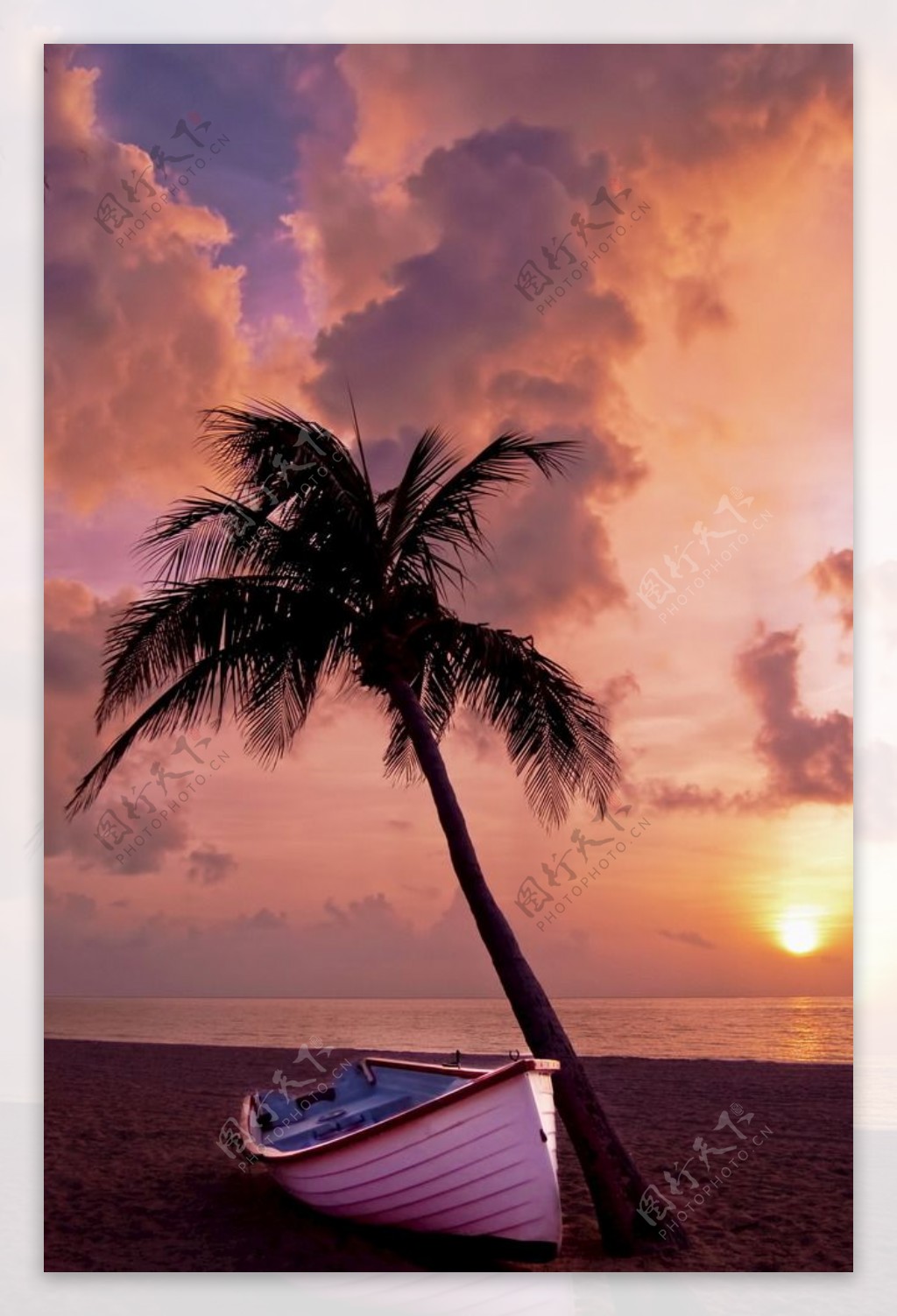 棕榈树小船海滩日落