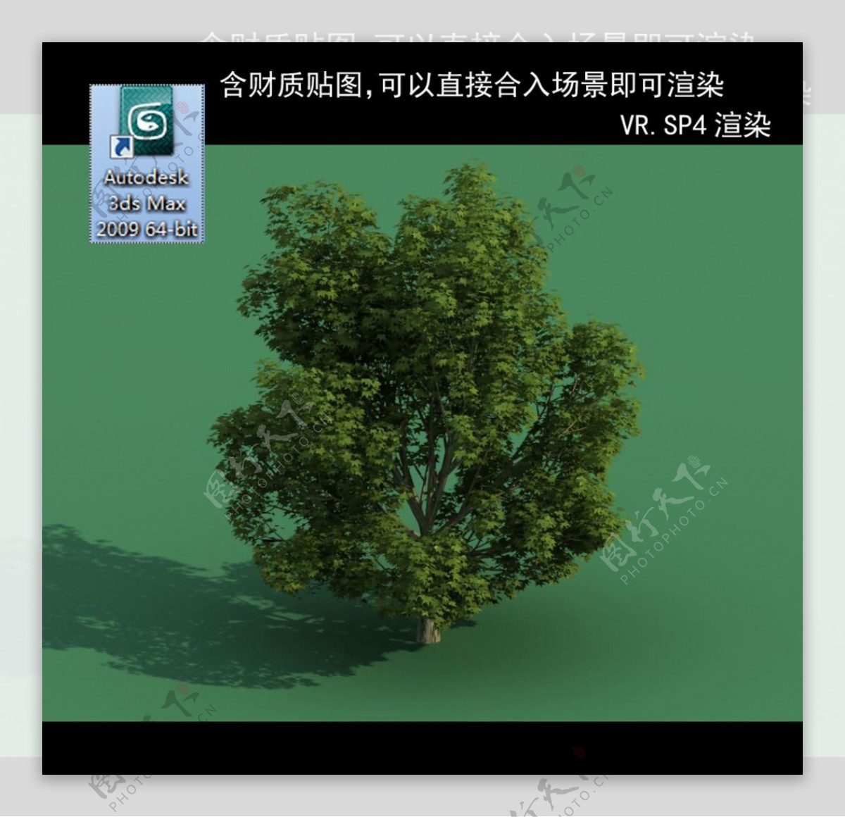 3D灌木模型3D植物模型绿