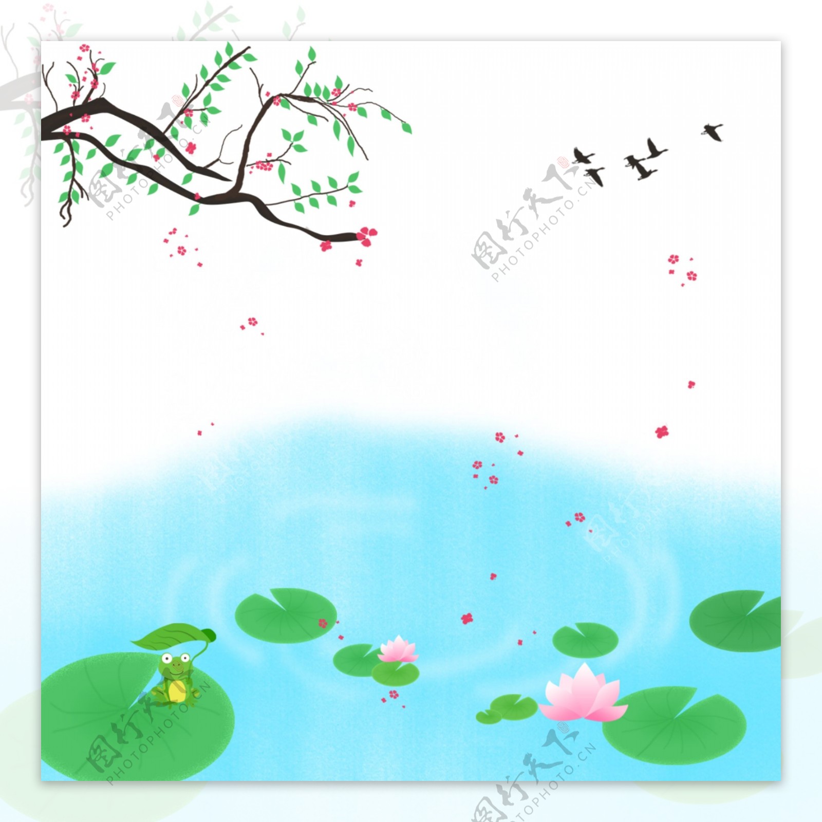 夏季河水里盛开的荷花燕子掠过天空背景