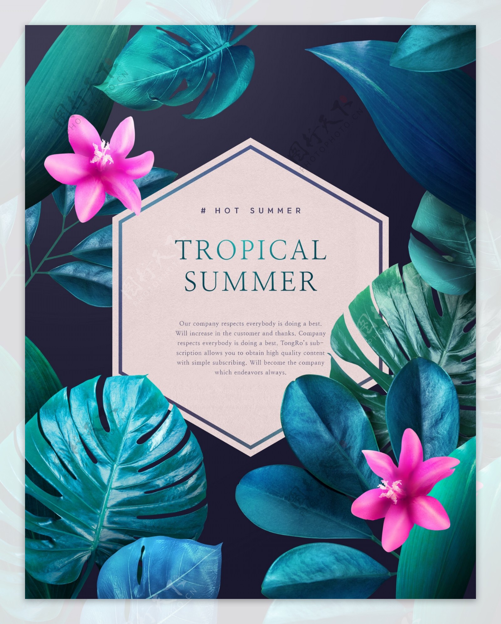 夏季热带植物花卉海报设计
