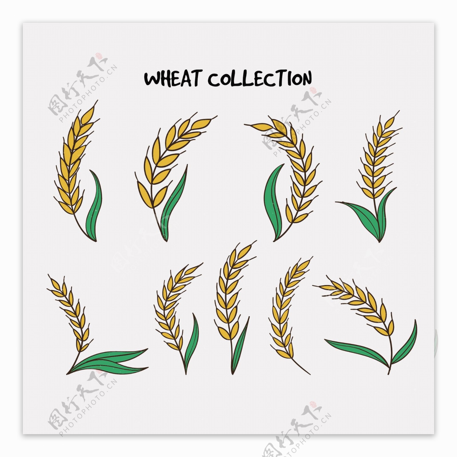 绿色卡通小麦合集插画设计