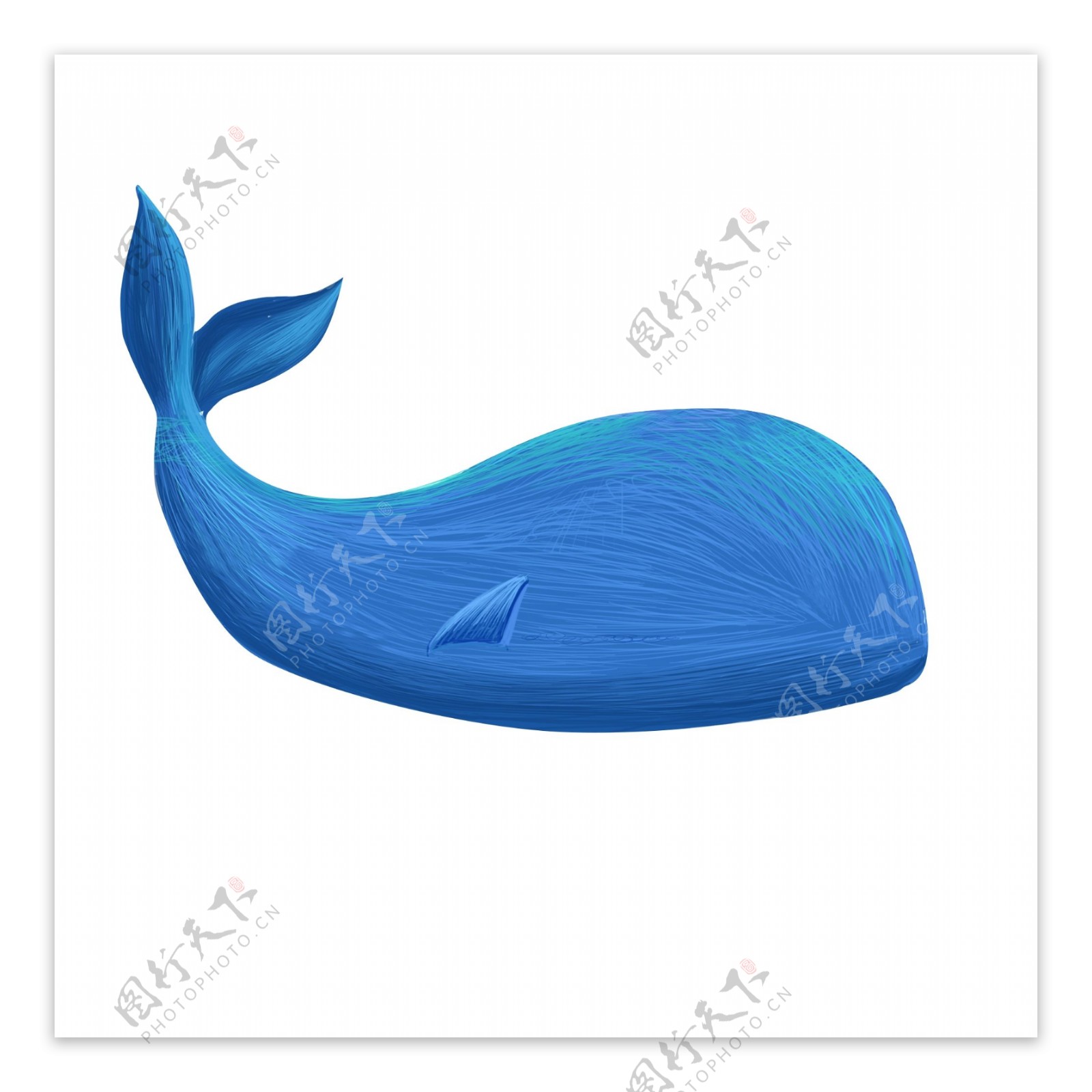 鲸鱼鲨鱼海豚线圈画扁平渐变蓝色