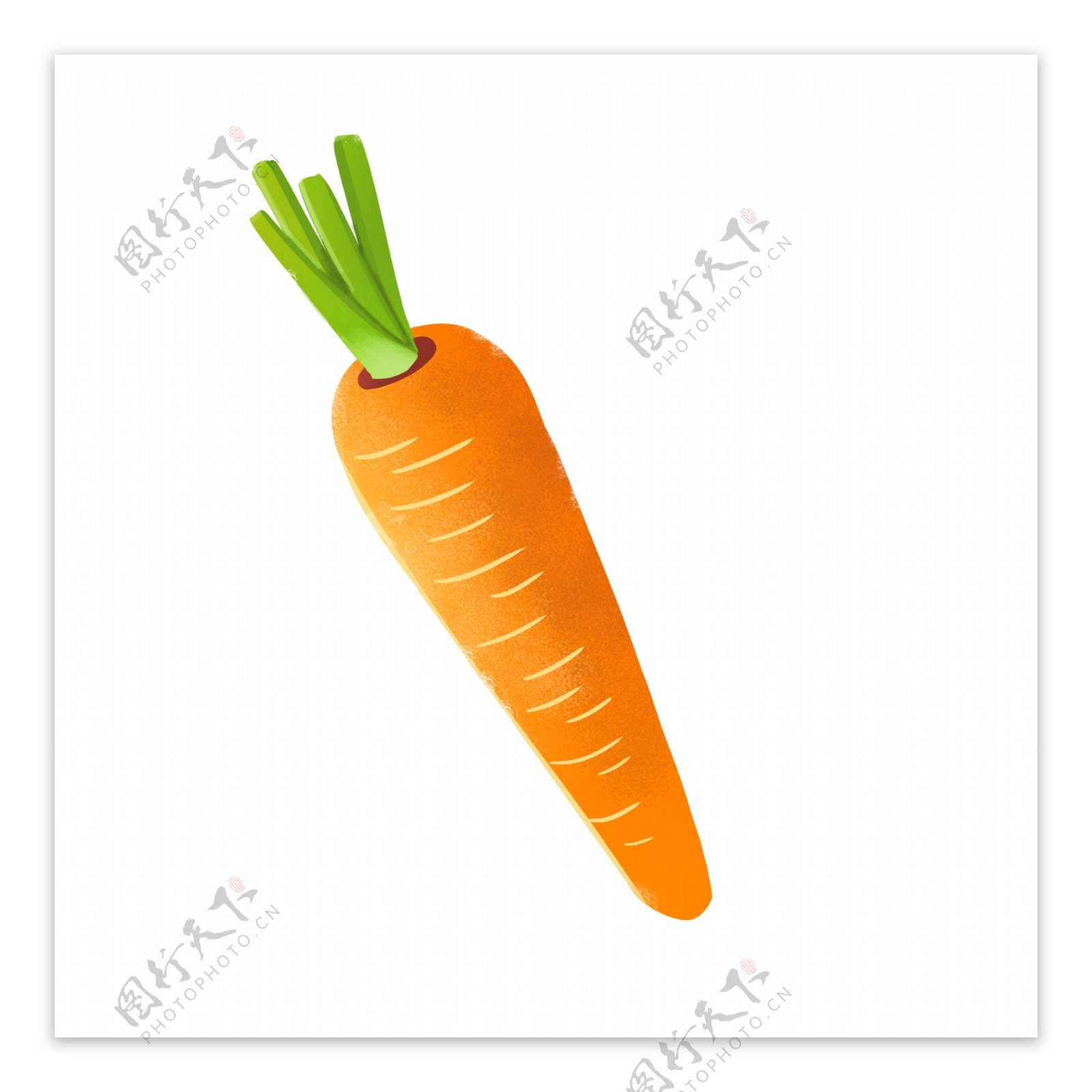 手绘蔬菜胡萝卜元素